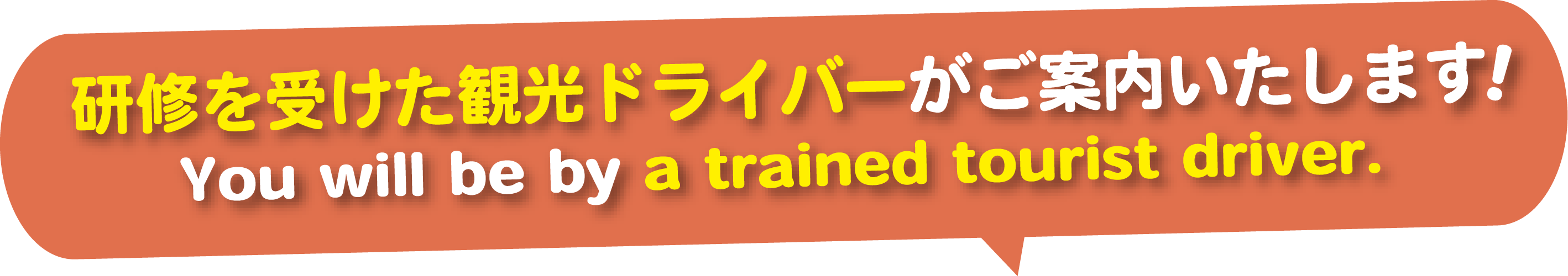 研修を受けた観光ドライバーがご案内いたします You will be by a trained tourist driver.